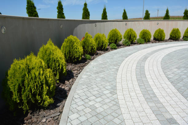 Best Driveway Repair Near Me  in , IA